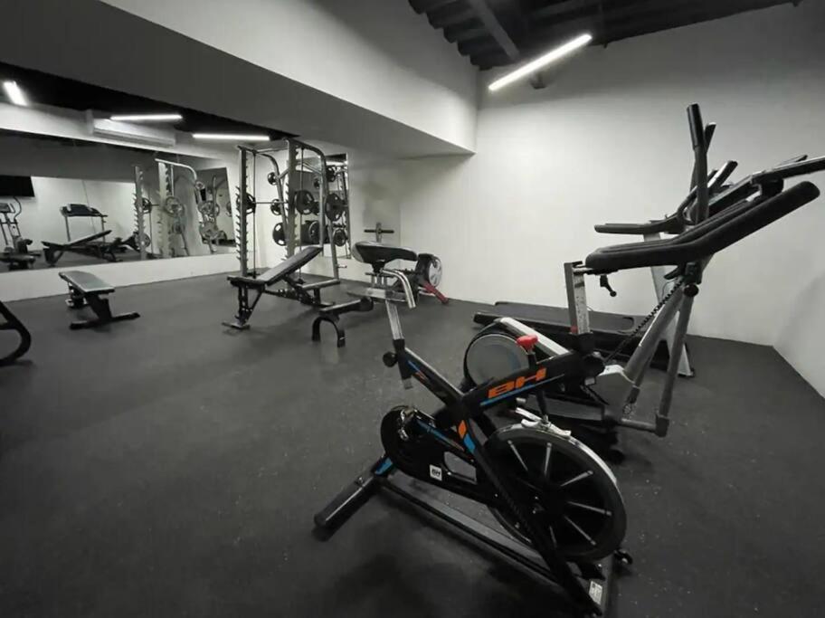 5th Ave - Gym - Pool - Rooftop Playa del Carmen